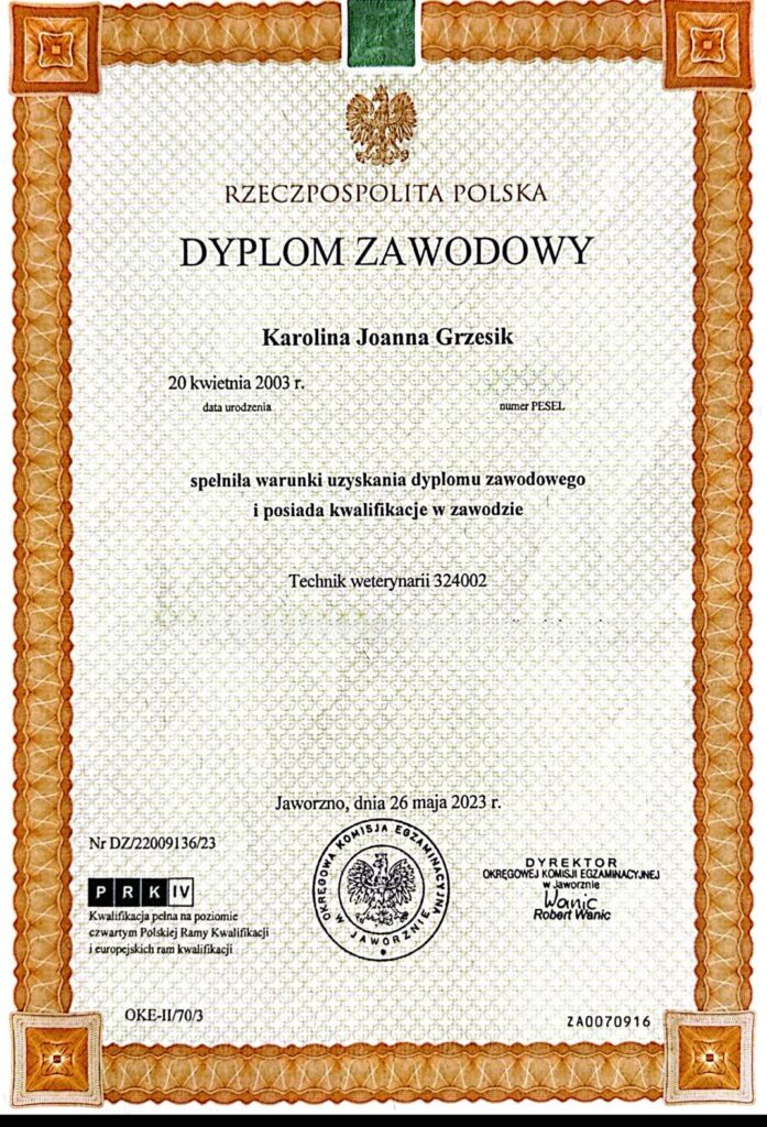 WhatsApp Image 2025-10-27 at 12.34.23 (1)